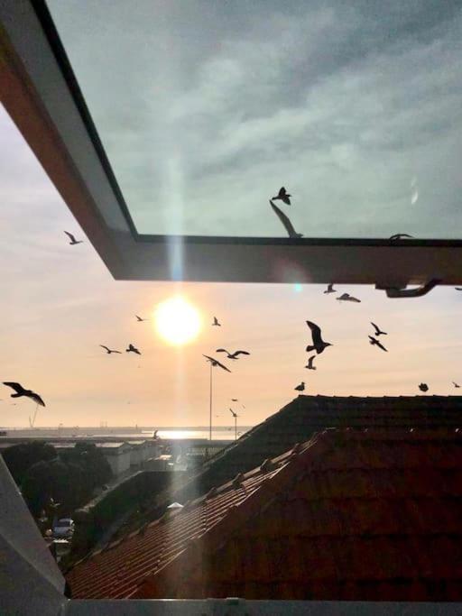 Lobo Do Mar Matosinhos Beach Loft エクステリア 写真